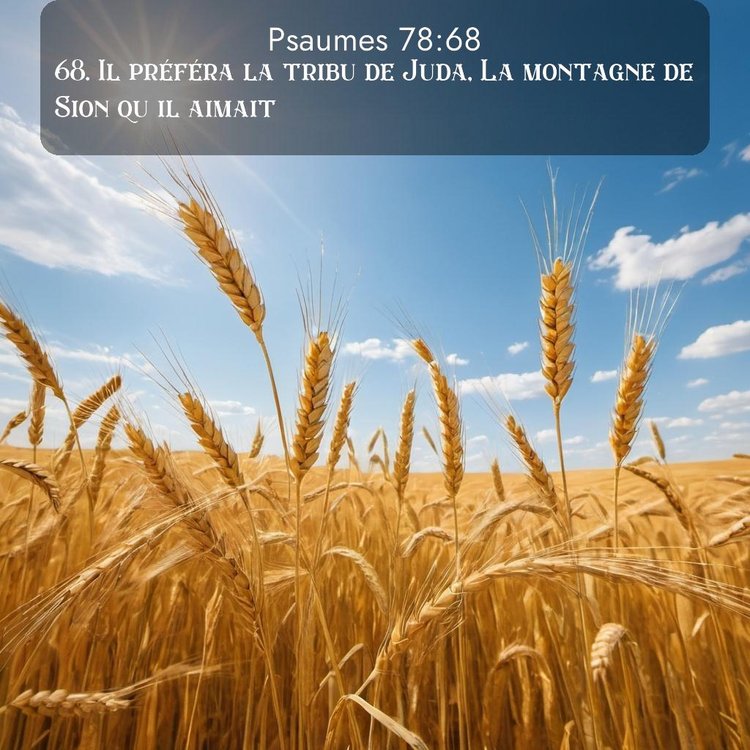 image nature avec verset biblique de la Bible
