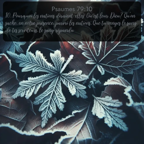 Segond Psaumes  ; image nature: image avec le verset biblique :Pourquoi les nations diraient-elles: Où est leur Dieu? Qu&#039;on sache, en notre présence, parmi les nations, Que tu venges le sang de tes serviteurs, le sang répandu! ;  ; 79:10