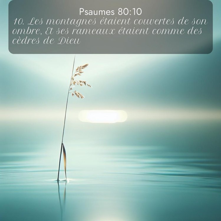 Bible Segond Psaumes 80:10