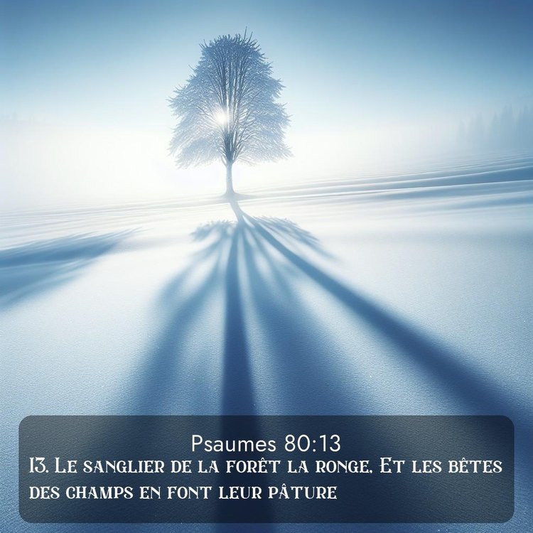 Bible Segond Psaumes 80:13