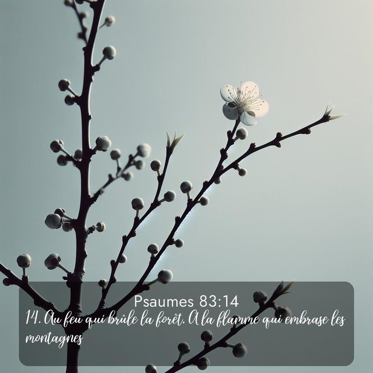 image nature avec verset biblique de la Bible