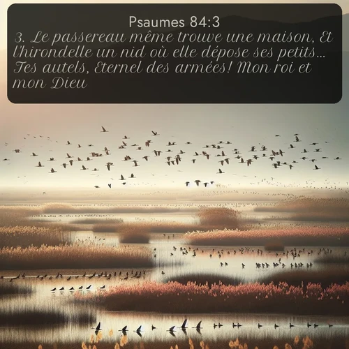 Segond Psaumes  ; image nature: image avec le verset biblique :Le passereau même trouve une maison, Et l&#039;hirondelle un nid où elle dépose ses petits... Tes autels, Eternel des armées! Mon roi et mon Dieu! ;  ; 84:3