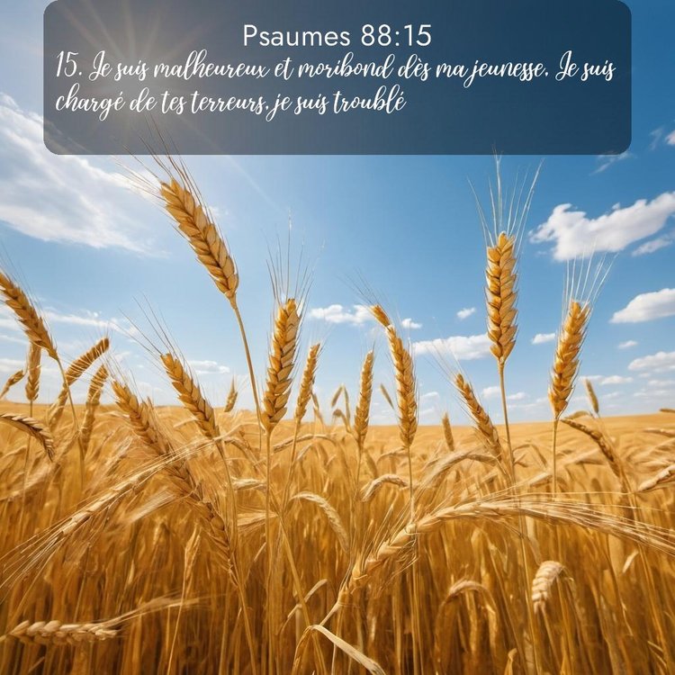 image nature avec verset biblique de la Bible