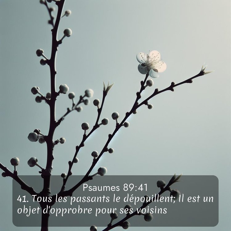 Segond Psaumes 89:41