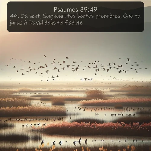 Segond Psaumes  ; image nature: image avec le verset biblique :Où sont, Seigneur! tes bontés premières, Que tu juras à David dans ta fidélité? ;  ; 89:49
