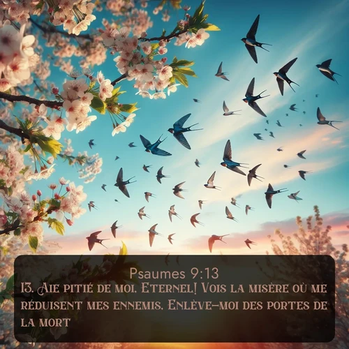Segond Psaumes  ; image nature: image avec le verset biblique :Aie pitié de moi, Eternel! Vois la misère où me réduisent mes ennemis, Enlève-moi des portes de la mort, ;  ; 9:13