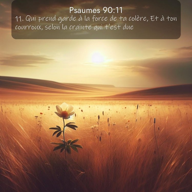 Segond Psaumes 90:11