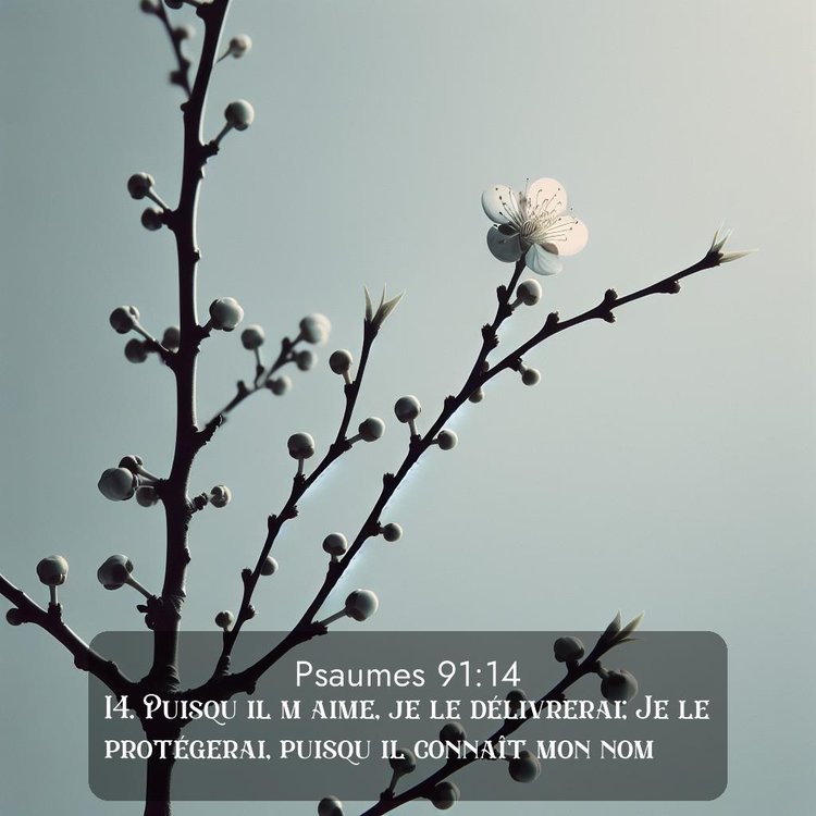 image nature avec verset biblique de la Bible