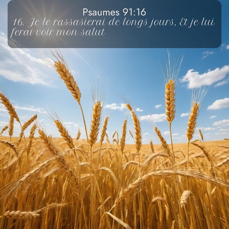 Segond Psaumes 91:16