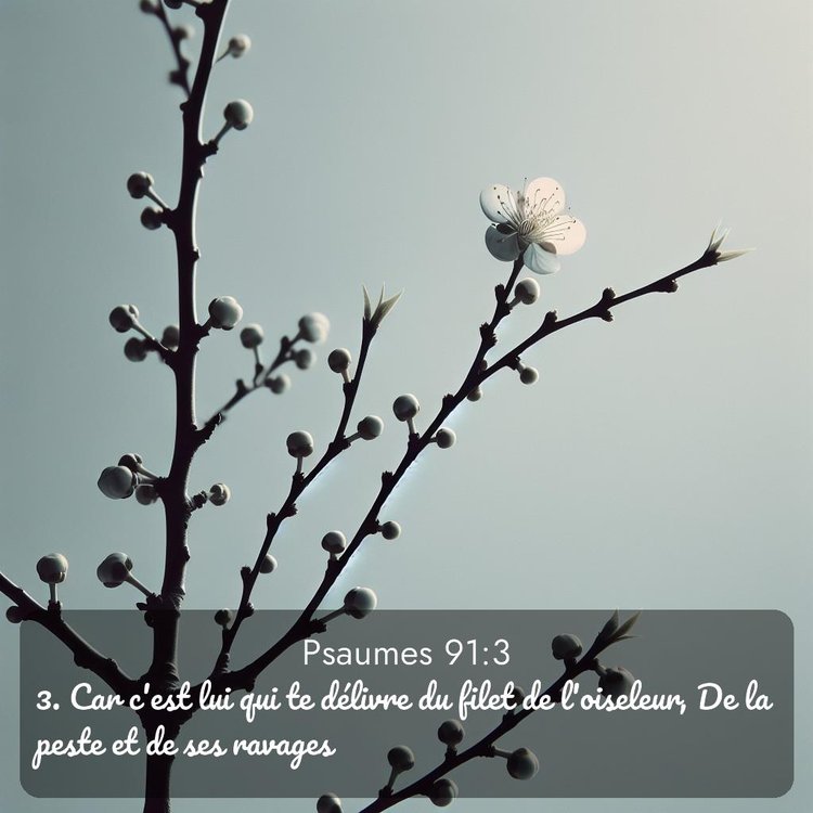 image nature avec verset biblique de la Bible