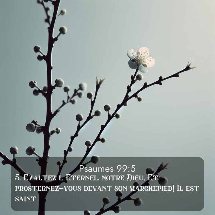 image nature avec verset biblique de la Bible
