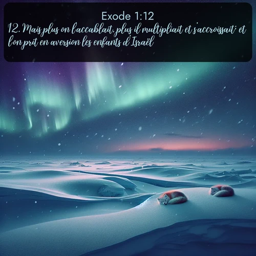 Segond Exode  ; image nature: image avec le verset biblique :Mais plus on l&#039;accablait, plus il multipliait et s&#039;accroissait; et l&#039;on prit en aversion les enfants d&#039;Israël. ;  ; 1:12