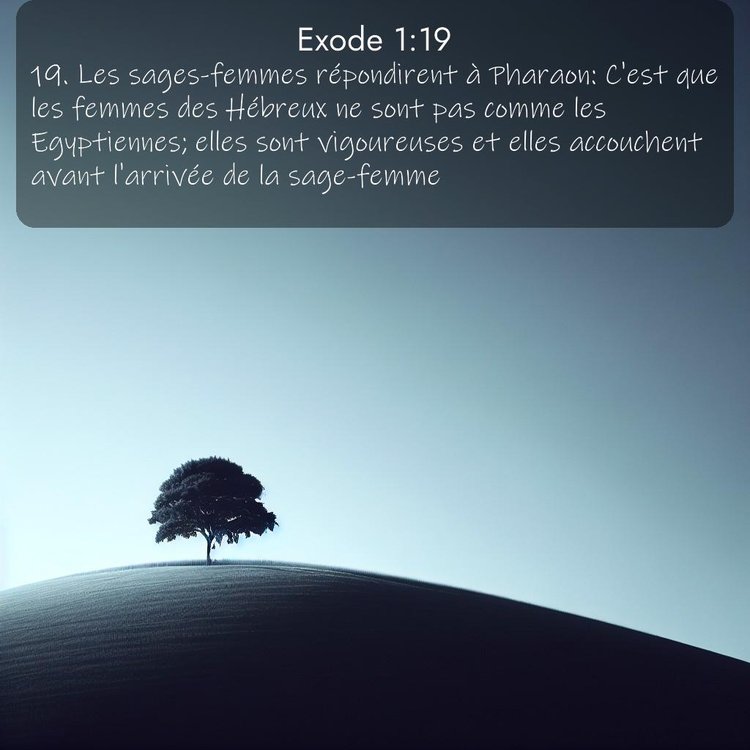 Segond Exode 1:19