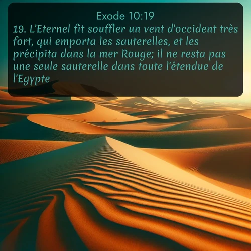 Segond Exode  ; image nature: image avec le verset biblique :L&#039;Eternel fit souffler un vent d&#039;occident très fort, qui emporta les sauterelles, et les précipita dans la mer Rouge; il ne resta pas une seule sauterelle dans toute l&#039;étendue de l&#039;Egypte. ;  ; 10:19