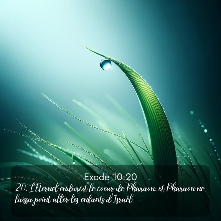 image nature avec verset biblique de la Bible
