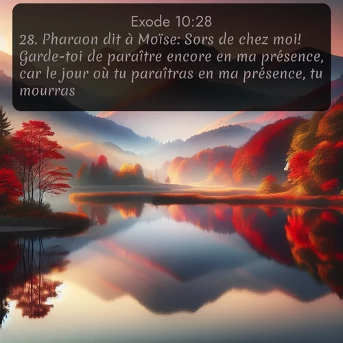 Segond Exode  ; image nature: image avec le verset biblique :Pharaon dit à Moïse: Sors de chez moi! Garde-toi de paraître encore en ma présence, car le jour où tu paraîtras en ma présence, tu mourras. ;  ; 10:28