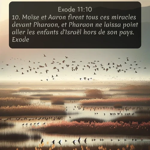 Segond Exode  ; image nature: image avec le verset biblique :Moïse et Aaron firent tous ces miracles devant Pharaon, et Pharaon ne laissa point aller les enfants d&#039;Israël ho</p><p>Lire le verset dans son contexte : <br><a href=