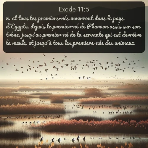 Segond Exode  ; image nature: image avec le verset biblique :et tous les premiers-nés mourront dans le pays d&#039;Egypte, depuis le premier-né de Pharaon assis sur son trône, jusqu&#039;au premier-né de la servante qui est derrière la meule, et jusqu&#039;à tous les premiers-nés des animaux. ;  ; 11:5