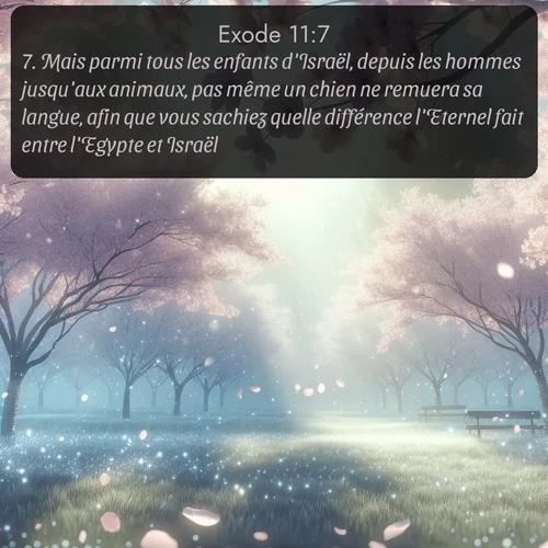 Segond Exode  ; image nature: image avec le verset biblique :Mais parmi tous les enfants d&#039;Israël, depuis les hommes jusqu&#039;aux animaux, pas même un chien ne remuera sa langue, afin que vous sachiez quelle différence l&#039;Eternel fait entre l&#039;Egypte et Israël. ;  ; 11:7