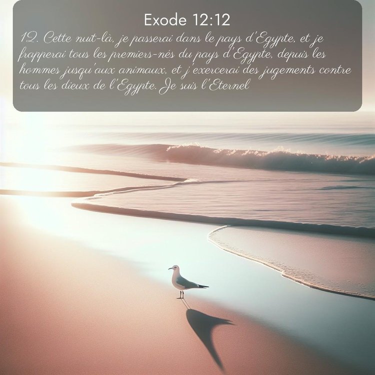 Segond Exode 12:12