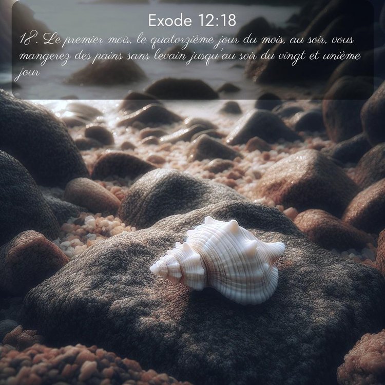 image nature avec verset biblique de la Bible