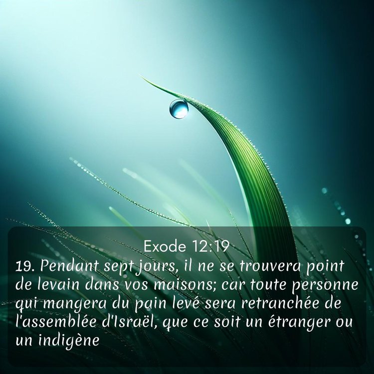 Segond Exode 12:19