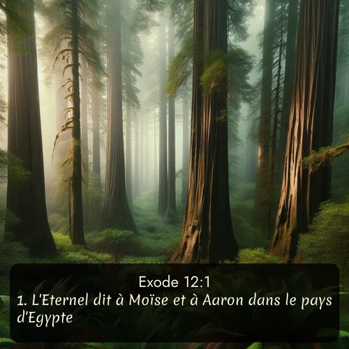 Segond 2 12:1