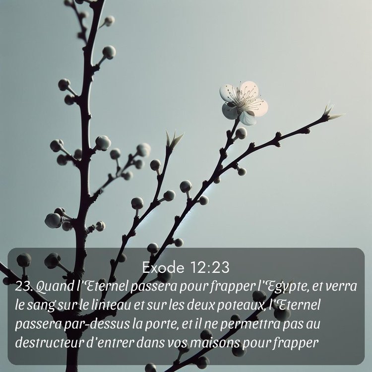image nature avec verset biblique de la Bible
