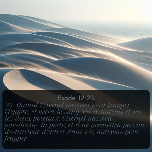 Segond Exode  ; image nature: image avec le verset biblique :Quand l&#039;Eternel passera pour frapper l&#039;Egypte, et verra le sang sur le linteau et sur les deux poteaux, l&#039;Eternel passera par-dessus la porte, et il ne permettra pas au destructeur d&#039;entrer dans vos maisons pour frapper. ;  ; 12:23