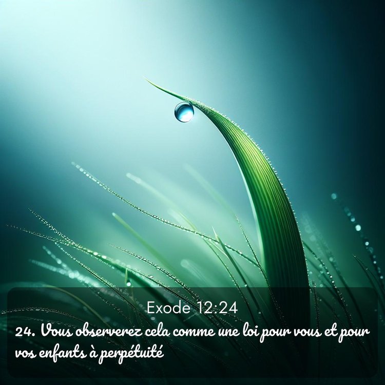 Segond Exode 12:24