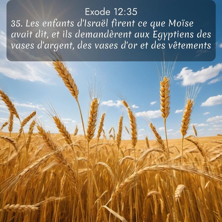 image nature avec verset biblique de la Bible