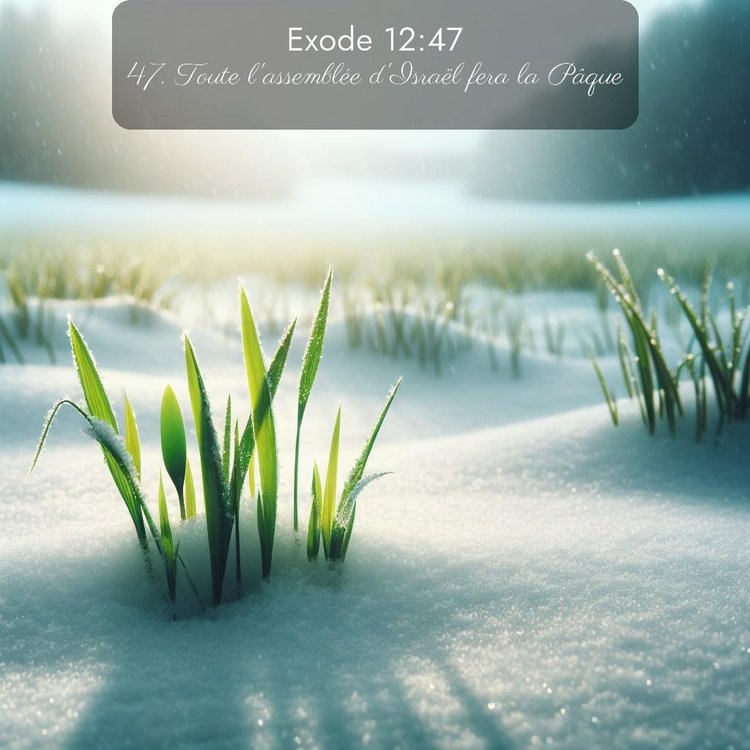 image nature avec verset biblique de la Bible