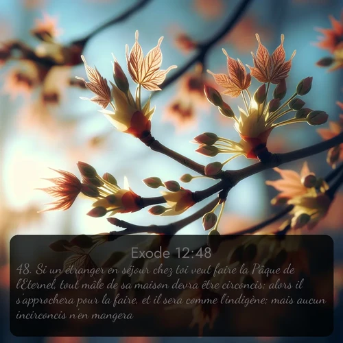 Segond Exode  ; image nature: image avec le verset biblique :Si un étranger en séjour chez toi veut faire la Pâque de l&#039;Eternel, tout mâle de sa maison devra être circoncis; alors il s&#039;approchera pour la faire, et il sera comme l&#039;indigène; mais aucun incirconcis n&#039;en mangera. ;  ; 12:48