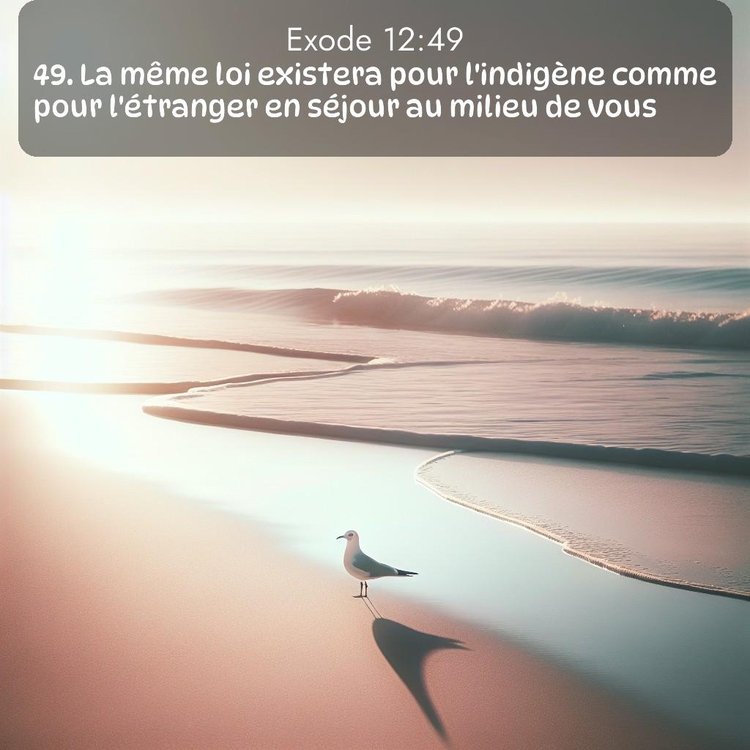 Segond Exode 12:49