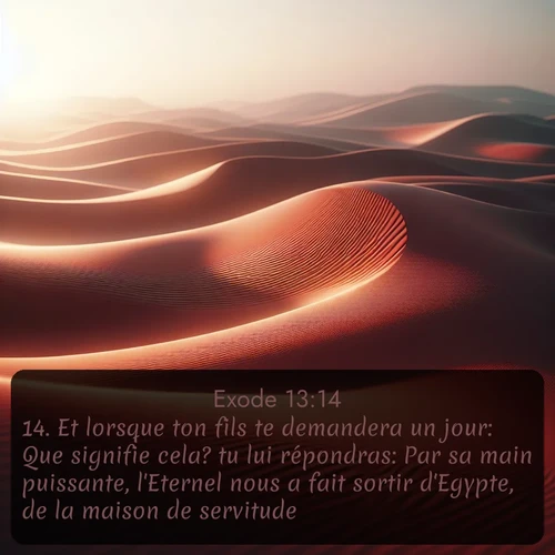 Segond Exode  ; image nature: image avec le verset biblique :Et lorsque ton fils te demandera un jour: Que signifie cela? tu lui répondras: Par sa main puissante, l&#039;Eternel nous a fait sortir d&#039;Egypte, de la maison de servitude; ;  ; 13:14