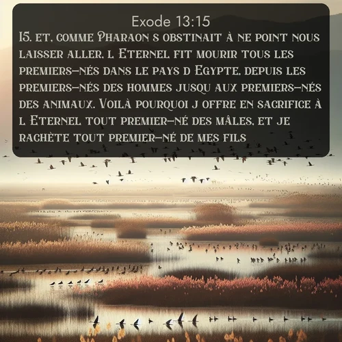 Segond Exode  ; image nature: image avec le verset biblique :et, comme Pharaon s&#039;obstinait à ne point nous laisser aller, l&#039;Eternel fit mourir tous les premiers-nés dans le pays d&#039;Egypte, depuis les premiers-nés des hommes jusqu&#039;aux premiers-nés des animaux. Voilà pourquoi j&#039;offre en sacrifice à l&#039;Eternel tout premier-né des mâles, et je rachète tout premier-né de mes fils. ;  ; 13:15