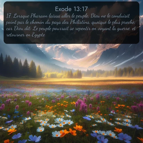 Segond Exode  ; image nature: image avec le verset biblique :Lorsque Pharaon laissa aller le peuple, Dieu ne le conduisit point par le chemin du pays des Philistins, quoique le plus proche; car Dieu dit: Le peuple pourrait se repentir en voyant la guerre, et retourner en Egypte. ;  ; 13:17