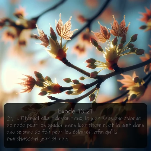 Segond Exode  ; image nature: image avec le verset biblique :L&#039;Eternel allait devant eux, le jour dans une colonne de nuée pour les guider dans leur chemin, et la nuit dans une colonne de feu pour les éclairer, afin qu&#039;ils marchassent jour et nuit. ;  ; 13:21