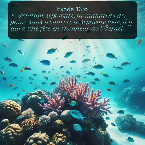 Segond Exode  ; image nature: image avec le verset biblique :Pendant sept jours, tu mangeras des pains sans levain; et le septième jour, il y aura une fête en l&#039;honneur de l&#039;Eternel. ;  ; 13:6