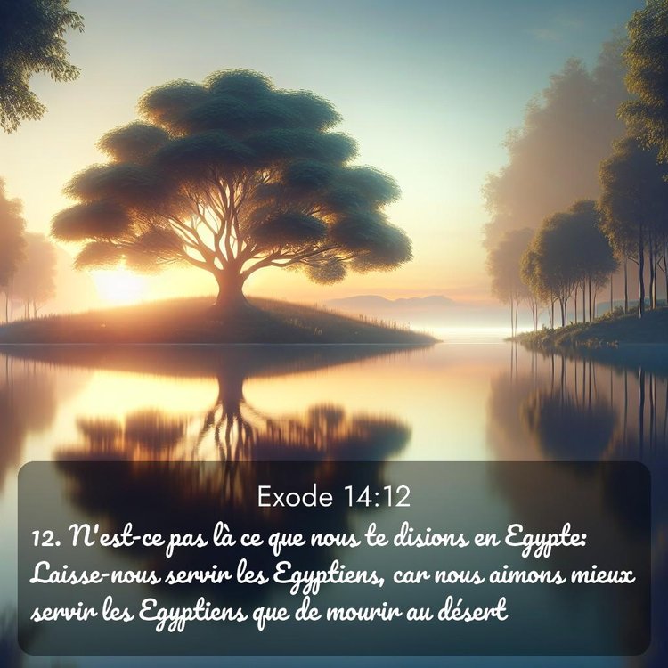 Segond Exode 14:12