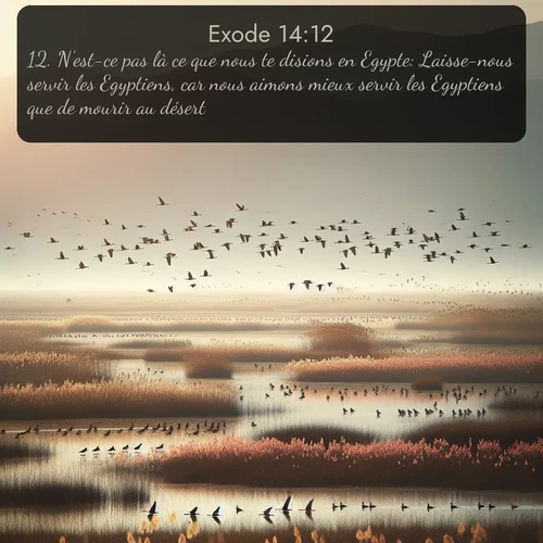 Segond Exode  ; image nature: image avec le verset biblique :N&#039;est-ce pas là ce que nous te disions en Egypte: Laisse-nous servir les Egyptiens, car nous aimons mieux servir les Egyptiens que de mourir au désert? ;  ; 14:12