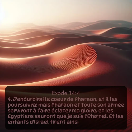 Segond Exode  ; image nature: image avec le verset biblique :J&#039;endurcirai le coeur de Pharaon, et il les poursuivra; mais Pharaon et toute son armée serviront à faire éclater ma gloire, et les Egyptiens sauront que je suis l&#039;Eternel. Et les enfants d&#039;Israël firent ainsi. ;  ; 14:4