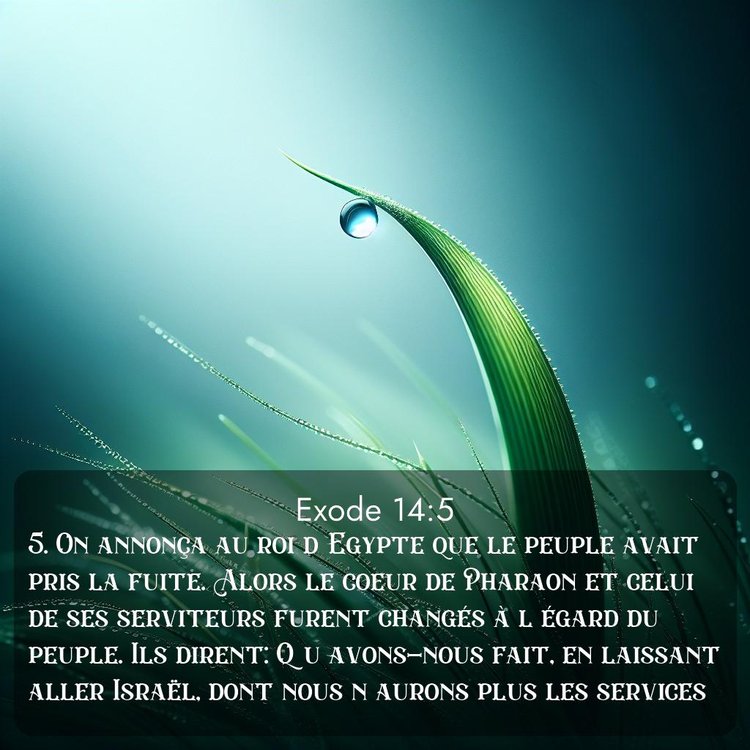 Segond Exode 14:5