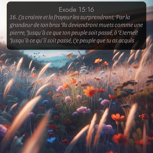 Segond Exode  ; image nature: image avec le verset biblique :La crainte et la frayeur les surprendront; Par la grandeur de ton bras Ils deviendront muets comme une pierre, Jusqu&#039;à ce que ton peuple soit passé, ô Eternel! Jusqu&#039;à ce qu&#039;il soit passé, Le peuple que tu as acquis. ;  ; 15:16