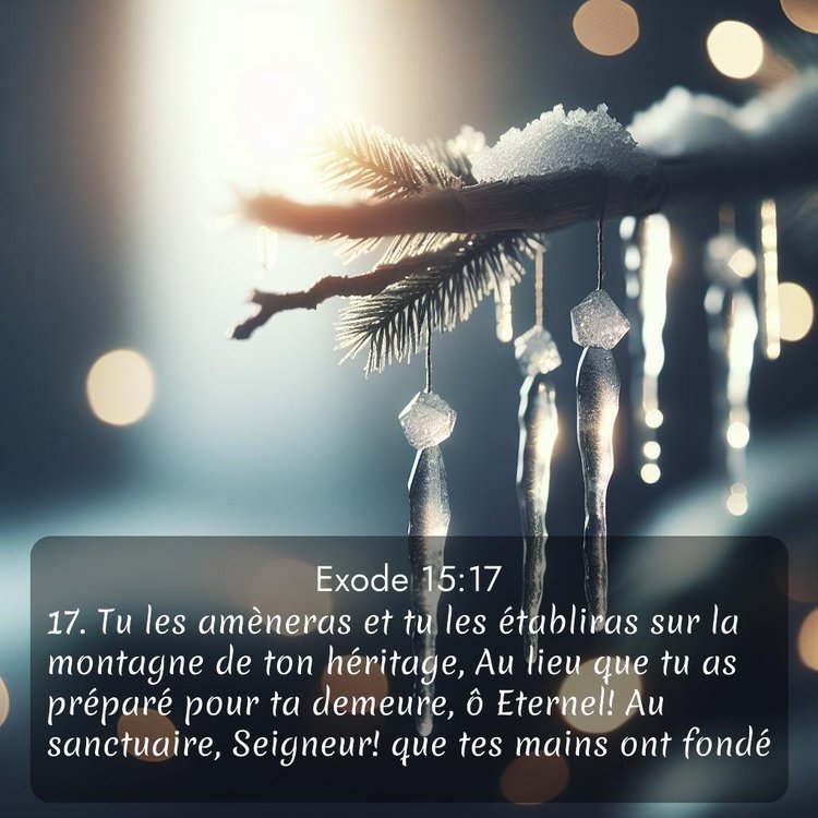 Segond Exode 15:17