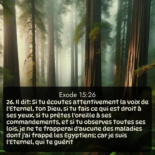 Segond Exode  ; image nature: image avec le verset biblique :Il dit: Si tu écoutes attentivement la voix de l&#039;Eternel, ton Dieu, si tu fais ce qui est droit à ses yeux, si tu prêtes l&#039;oreille à ses commandements, et si tu observes toutes ses lois, je ne te frapperai d&#039;aucune des maladies dont j&#039;ai frappé les Egyptiens; car je suis l&#039;Eternel, qui te guérit. ;  ; 15:26