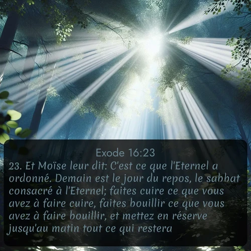 Segond Exode  ; image nature: image avec le verset biblique :Et Moïse leur dit: C&#039;est ce que l&#039;Eternel a ordonné. Demain est le jour du repos, le sabbat consacré à l&#039;Eternel; faites cuire ce que vous avez à faire cuire, faites bouillir ce que vous avez à faire bouillir, et mettez en réserve jusqu&#039;au matin tout ce qui restera. ;  ; 16:23