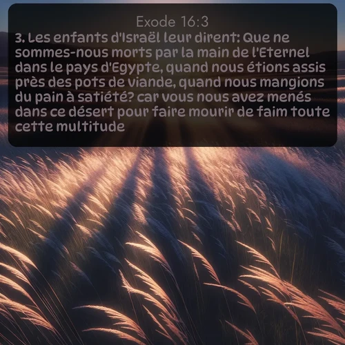 Segond 2 16:3
