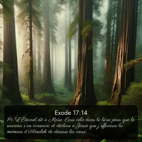 Segond Exode  ; image nature: image avec le verset biblique :L&#039;Eternel dit à Moïse: Ecris cela dans le livre, pour que le souvenir s&#039;en conserve, et déclare à Josué que j&#039;effacerai la mémoire d&#039;Amalek de dessous les cieux. ;  ; 17:14