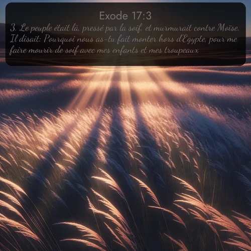 Segond Exode  ; image nature: image avec le verset biblique :Le peuple était là, pressé par la soif, et murmurait contre Moïse. Il disait: Pourquoi nous as-tu fait monter hors d&#039;Egypte, pour me faire mourir de soif avec mes enfants et mes troupeaux? ;  ; 17:3